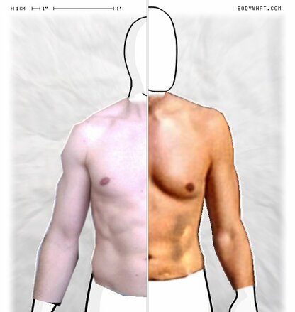 Torso Comparison