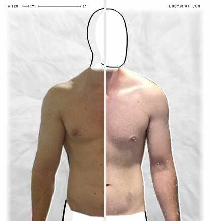 Torso Comparison