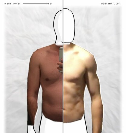 Torso Comparison