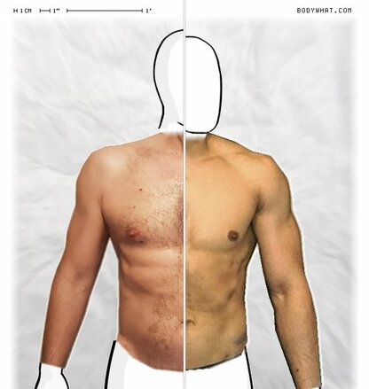 Torso Comparison