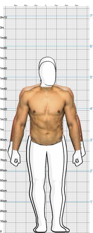 Full Size Comparison