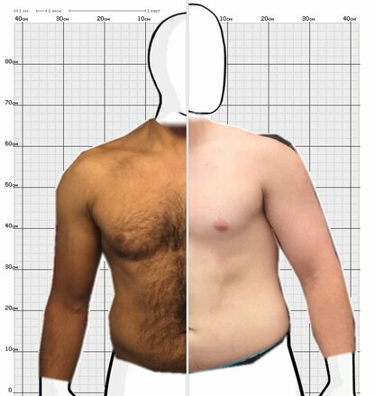 Torso Comparison