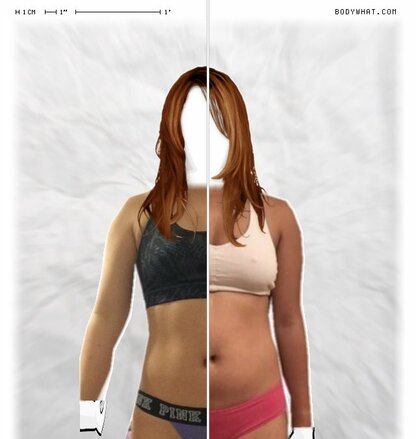 Torso Comparison