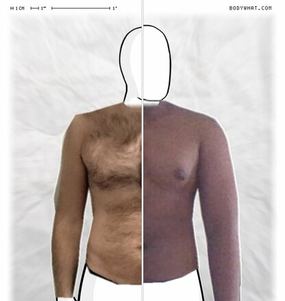 Torso Comparison