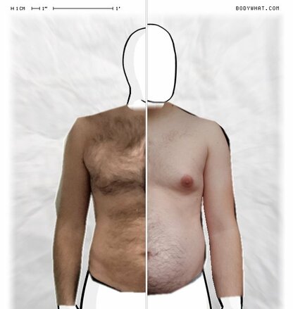 Torso Comparison