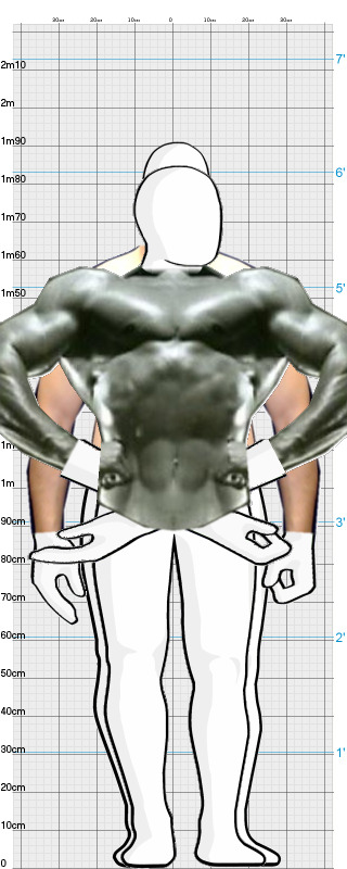 Full Size Comparison