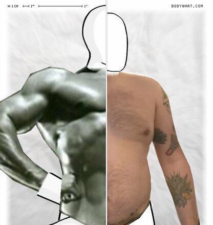 Torso Comparison