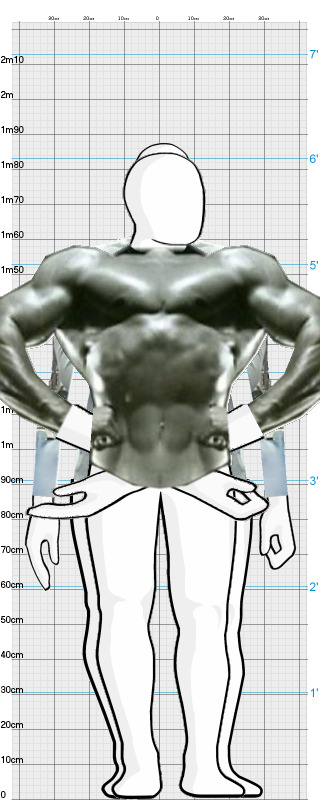 Full Size Comparison