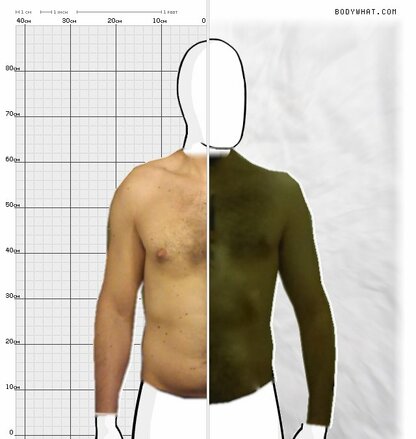 Torso Comparison