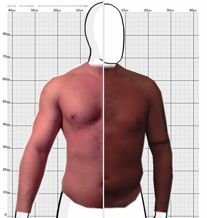 Torso Comparison