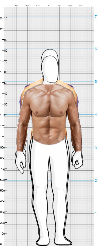 Full Size Comparison