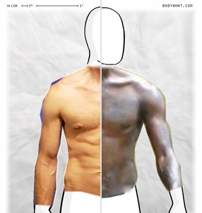 Torso Comparison