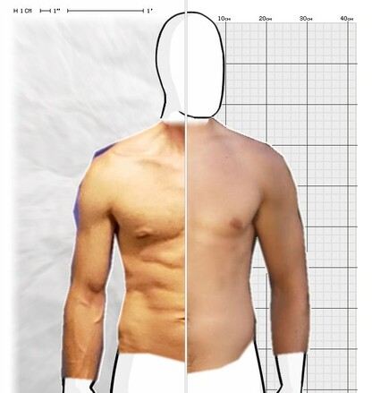 Torso Comparison