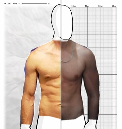 Torso Comparison