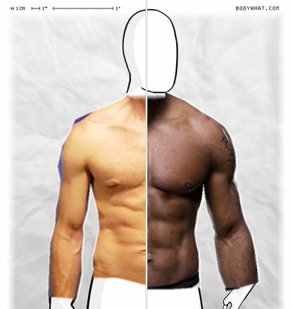 Torso Comparison