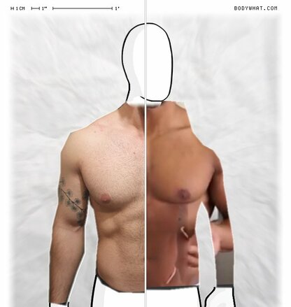 Torso Comparison