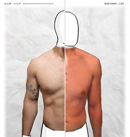 Torso Comparison