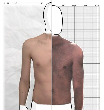 Torso Comparison