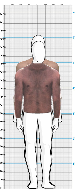 Full Size Comparison