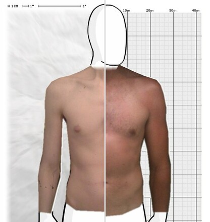 Torso Comparison