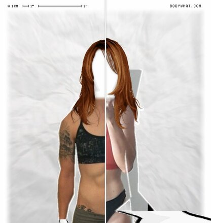 Torso Comparison