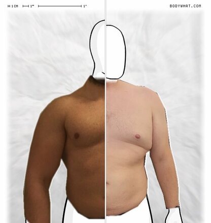 Torso Comparison