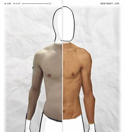 Torso Comparison