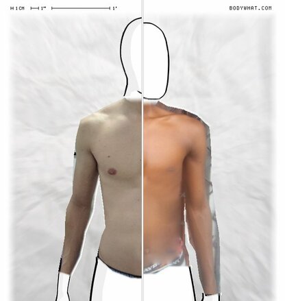 Torso Comparison
