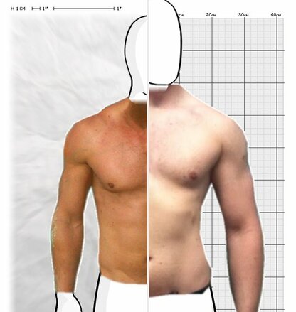 Torso Comparison