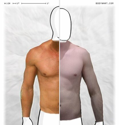 Torso Comparison