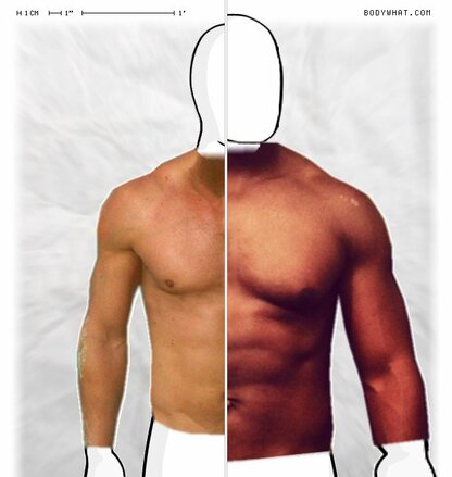 Torso Comparison