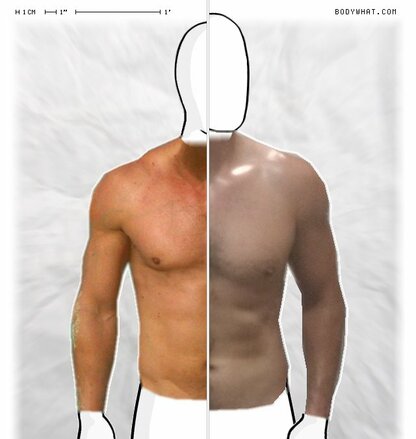 Torso Comparison