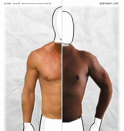 Torso Comparison