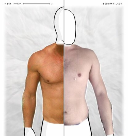 Torso Comparison