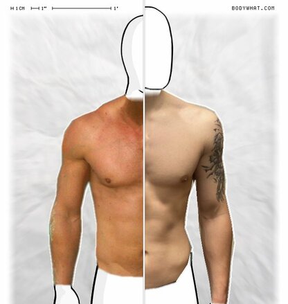 Torso Comparison