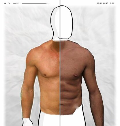 Torso Comparison