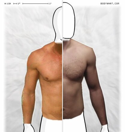 Torso Comparison