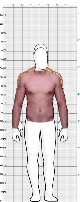 Full Size Comparison