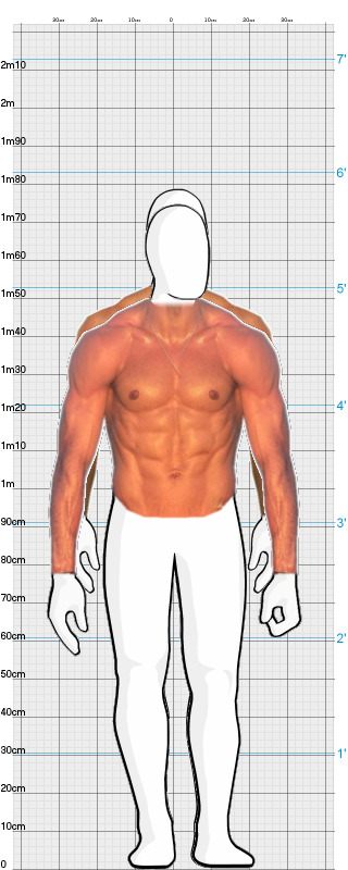 Full Size Comparison