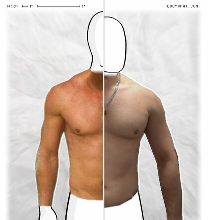 Torso Comparison