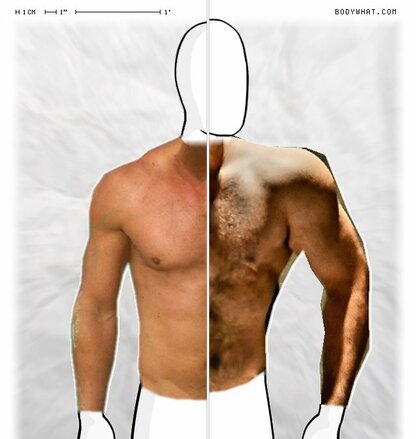 Torso Comparison
