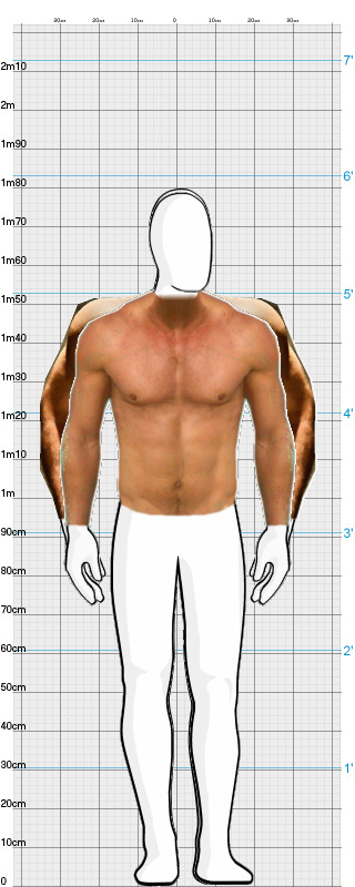 Full Size Comparison