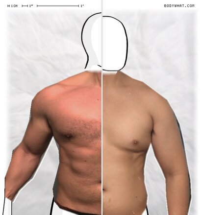 Torso Comparison