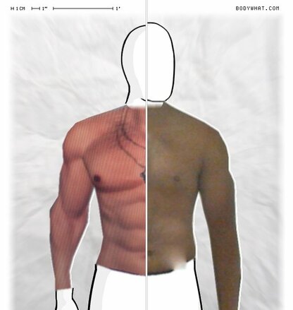 Torso Comparison