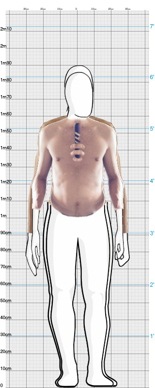 Full Size Comparison