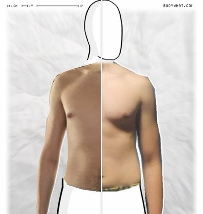 Torso Comparison