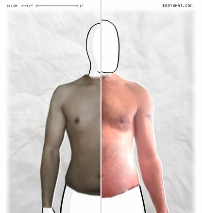 Torso Comparison