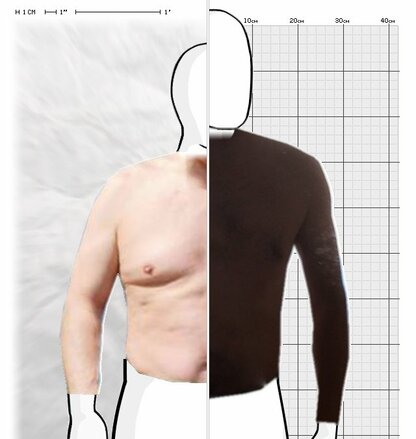 Torso Comparison