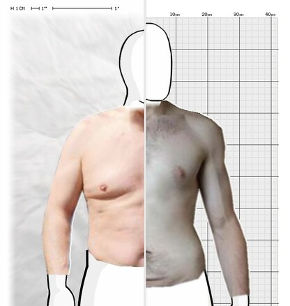 Torso Comparison