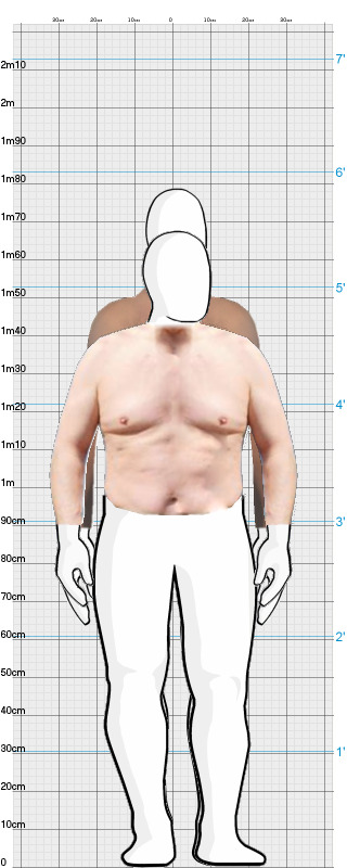 Full Size Comparison